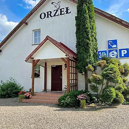 Orzel